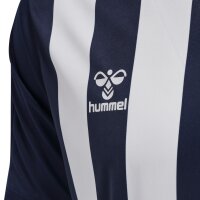 hummel Core XK Striped Trikot kurzarm Herren - marine/white