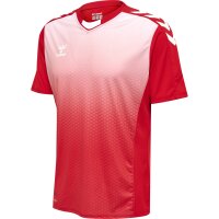 hummel Core XK Sublimation Trikot kurzarm Herren - true red