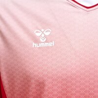 hummel Core XK Sublimation Trikot kurzarm Herren - true red