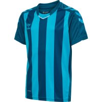 hummel Core XK Striped Trikot Kinder - blue coral/blue danube
