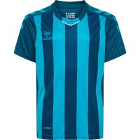 hummel Core XK Striped Trikot Kinder - blue coral/blue danube
