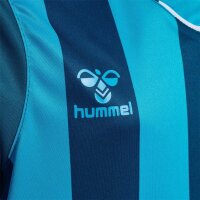 hummel Core XK Striped Trikot Kinder - blue coral/blue danube