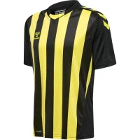 hummel Core XK Striped Trikot kurzarm Herren -...
