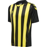 hummel Core XK Striped Trikot kurzarm Herren -...