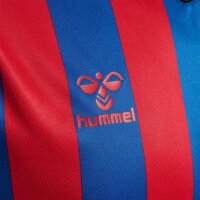 hummel Core XK Striped Trikot kurzarm Herren - true blue/true red