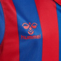 hummel Core XK Striped Trikot Kinder - true blue/true red