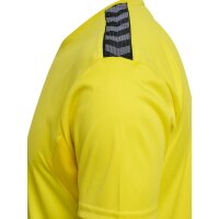 hummel hmlAUTHENTIC PL Trikot kurzarm Herren - blazing yellow