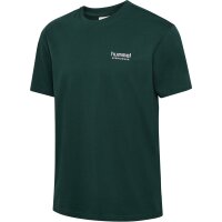 hummel Hmlloose T-Shirt S/S Sportswear - ponderosa pine