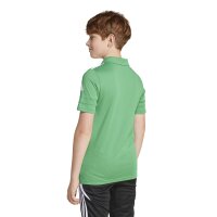 adidas Squadra 25 Cotton Poloshirt  Kinder - grün/weiß