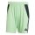adidas Tiro 24 Shorts Herren - minz/schwarz