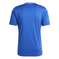 adidas Campeon 25 Trikot Herren - blau/weiß