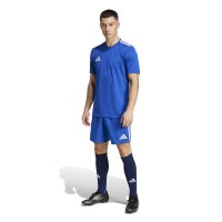adidas Campeon 25 Trikot Herren - blau/weiß