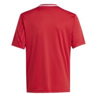 adidas Campeon 25 Trikot Kinder - rot/weiß