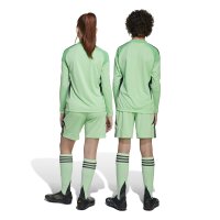adidas Tiro 24 Shorts Kinder - grün/schwarz