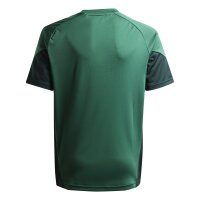 adidas Tiro 25 Competition Trainingstrikot Kinder -...