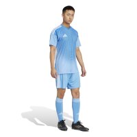 adidas Tiro 24 Shorts Herren - blau/weiß