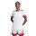 adidas Squadra 25 Trikot Damen - weiß/rot