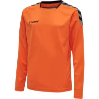 hummel Hmlauthentic Kids Poly Trikot L/S - Kinder -...