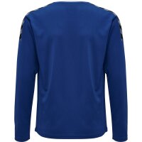 hummel Hmlauthentic Kids Poly Trikot L/S - Kinder - true...