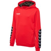 hummel Hmlauthentic Kids Poly Hoodie - Kinder - true red