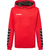 hummel Hmlauthentic Kids Poly Hoodie - Kinder - true red