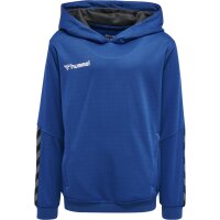 hummel Hmlauthentic Kids Poly Hoodie - Kinder - true blue