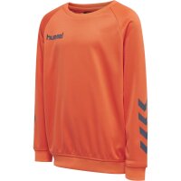 hummel Hmlpromo Kids Poly Sweatshirt - Kinder -...
