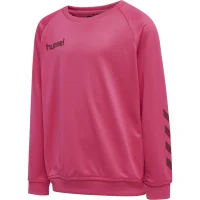 hummel Hmlpromo Kids Poly Sweatshirt - Kinder - raspberry...