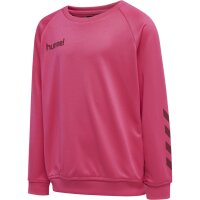 hummel Hmlpromo Kids Poly Sweatshirt - Kinder - raspberry sorbet