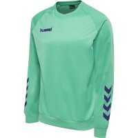hummel Hmlpromo Kids Poly Sweatshirt - Kinder - atlantis