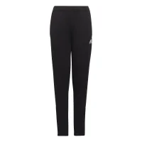 adidas Entrada 22 Trainingshose Kinder - schwarz
