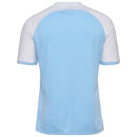 hummel Hmlmatch League Trikot S/S - argentina blue/white