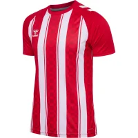 hummel Hmlmatch Striped Trikot S/S - true red/white