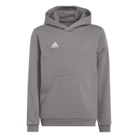 adidas Entrada 22 Hoodie Kinder - grau