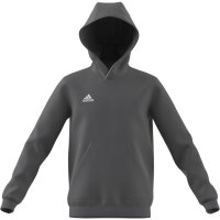 adidas Entrada 22 Hoodie Kinder - grau