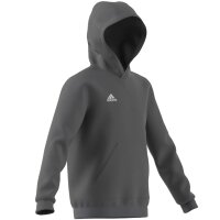 adidas Entrada 22 Hoodie Kinder - grau