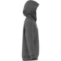 adidas Entrada 22 Hoodie Kinder - grau