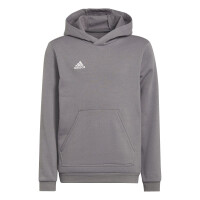 adidas Entrada 22 Hoodie Kinder - grau 164