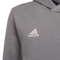 adidas Entrada 22 Hoodie Kinder - grau 164