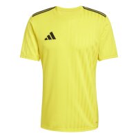 adidas Campeon 25 Trikot Herren - gelb/schwarz