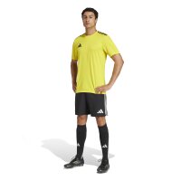 adidas Campeon 25 Trikot Herren - gelb/schwarz