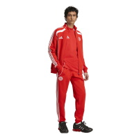 adidas FC Bayern München UBP Doubleknit Jogginhose Herren - rot/weiß - M
