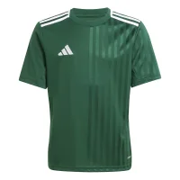 adidas Campeon 25 Trikot Kinder - grün/weiß