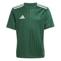 adidas Campeon 25 Trikot Kinder - grün/weiß