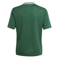 adidas Campeon 25 Trikot Kinder - grün/weiß