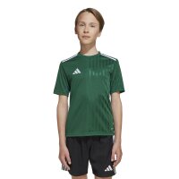 adidas Campeon 25 Trikot Kinder - grün/weiß