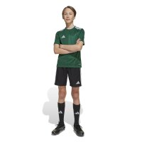 adidas Campeon 25 Trikot Kinder - grün/weiß