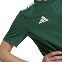 adidas Campeon 25 Trikot Kinder - grün/weiß