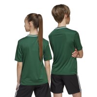 adidas Campeon 25 Trikot Kinder - grün/weiß
