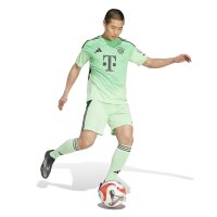 adidas FC Bayern München Torwarttrikot 25/26 Herren - grün